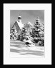 Winter Scene by Anonymous