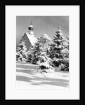 Winter Scene by Anonymous
