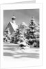 Winter Scene by Anonymous