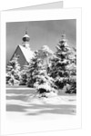 Winter Scene by Anonymous