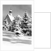 Winter Scene by Anonymous