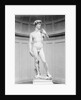 David by Michelangelo