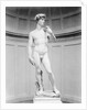 David by Michelangelo