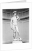 David by Michelangelo