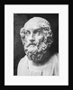 View of Statue of Homer by Anonymous