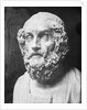 View of Statue of Homer by Anonymous