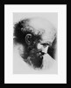 Portrait of Pythagoras by Anonymous