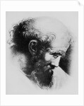Portrait of Pythagoras by Anonymous