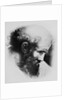 Portrait of Pythagoras by Anonymous