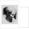 Portrait of Pythagoras by Anonymous