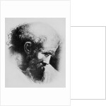 Portrait of Pythagoras by Anonymous