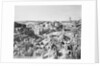 Ruins of Roman Forum by Anonymous