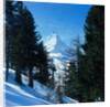 Matterhorn by Anonymous