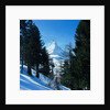 Matterhorn by Anonymous