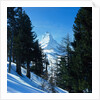 Matterhorn by Anonymous
