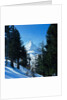 Matterhorn by Anonymous