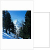 Matterhorn by Anonymous