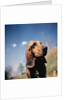 Brown Bloodhound by Anonymous