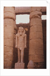 Egyptian Temple in Luxor by Anonymous
