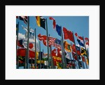 Flags of Different Countries by Anonymous