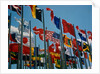 Flags of Different Countries by Anonymous