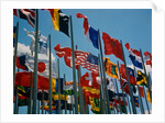 Flags of Different Countries by Anonymous