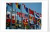 Flags of Different Countries by Anonymous
