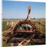 Donkey at an Antiquated Irrigation Wheel by Anonymous
