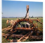 Donkey at an Antiquated Irrigation Wheel by Anonymous