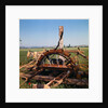 Donkey at an Antiquated Irrigation Wheel by Anonymous