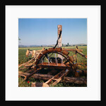 Donkey at an Antiquated Irrigation Wheel by Anonymous