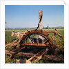 Donkey at an Antiquated Irrigation Wheel by Anonymous