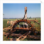 Donkey at an Antiquated Irrigation Wheel by Anonymous