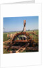 Donkey at an Antiquated Irrigation Wheel by Anonymous