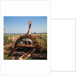 Donkey at an Antiquated Irrigation Wheel by Anonymous
