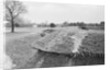 Redoubts at Yorktown by Anonymous