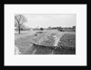 Redoubts at Yorktown by Anonymous