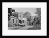 Brandon Plantation by Anonymous