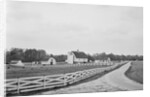 Swann's Point Plantation by Anonymous