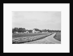 Swann's Point Plantation by Anonymous