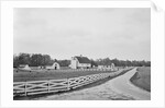 Swann's Point Plantation by Anonymous