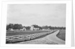 Swann's Point Plantation by Anonymous