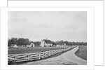 Swann's Point Plantation by Anonymous