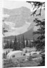 Crowfoot Glacier from Icefields Parkway by Anonymous