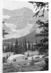 Crowfoot Glacier from Icefields Parkway by Anonymous