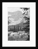 Crowfoot Glacier from Icefields Parkway by Anonymous