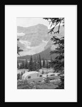 Crowfoot Glacier from Icefields Parkway by Anonymous