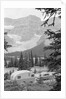 Crowfoot Glacier from Icefields Parkway by Anonymous