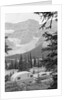 Crowfoot Glacier from Icefields Parkway by Anonymous
