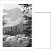 Crowfoot Glacier from Icefields Parkway by Anonymous